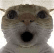 GatoSorprendido