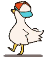 duck dance 