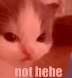 not here 