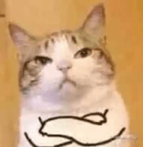 GatoEnojao