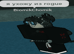 im log from rogue demon