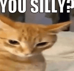 you silly