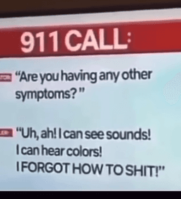 goofy ass 911 call 