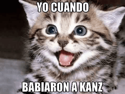 yo cuando babiaron a kanz