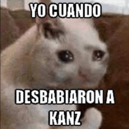 yo cuando desbabiaron a kanz