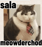 meowderchod