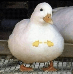 vwu duck uwu