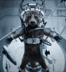 rocket raccoon being tested on