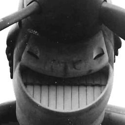 Stuka Grin