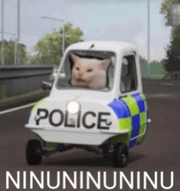 vwu cat police