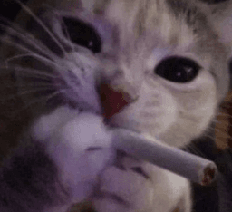 meowijuana