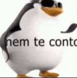 Nem te conto