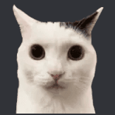 CatWhat