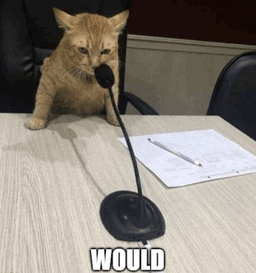 would