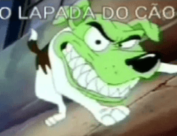 lapada do cão