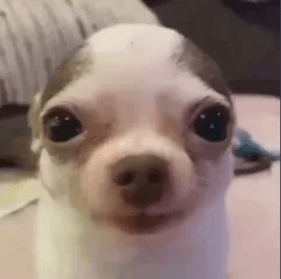 what_