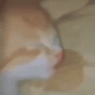 cat_dribble
