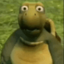 turtle_cursed