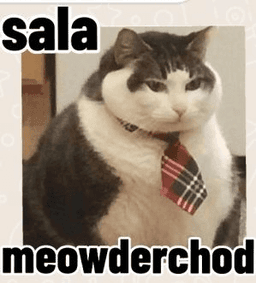 Sala meowderchod