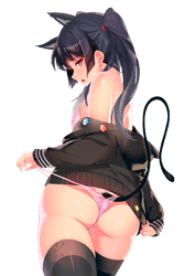 Cat ass
