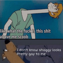 shaggywtf