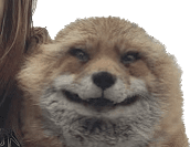 Finniesmile