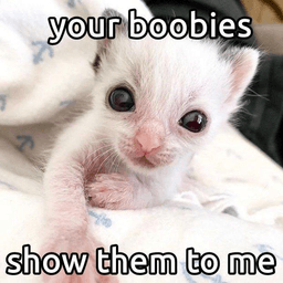 BOOBIES