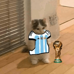 Gato Campeon