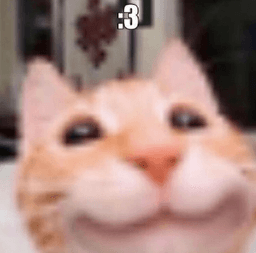 _3__akemi