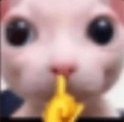 silenciogatuno