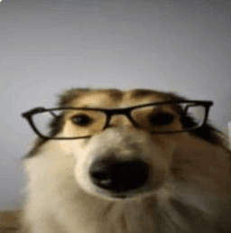 doggylent