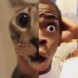 OOOOOOOO