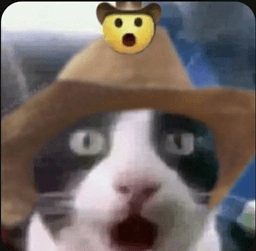 Gatomexicano
