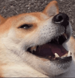 kekw