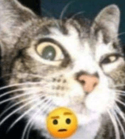 bro?