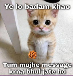baat crow mujhse