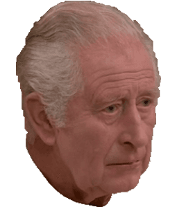 Charles_Sad