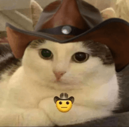 ReallyMeowdy