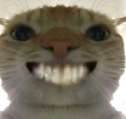 CatSmile2