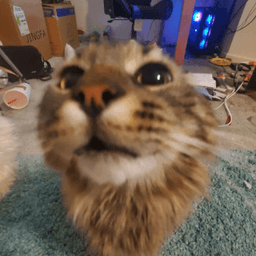 sup
