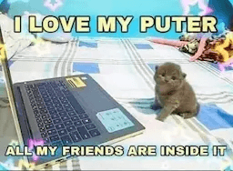 Cat puter