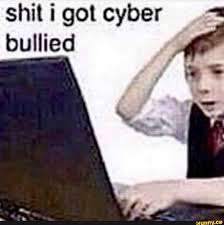 cyber bullied