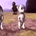 bsf .gg/purrr