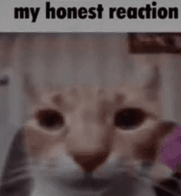my honest reaction
