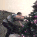 tree throw