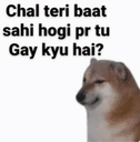 Gay