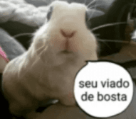 viadodebosta