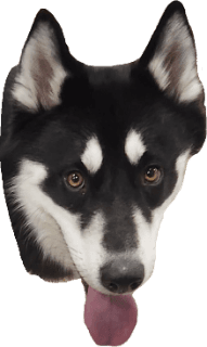 Jax