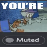 mutedlmao
