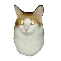 Egg Cat
